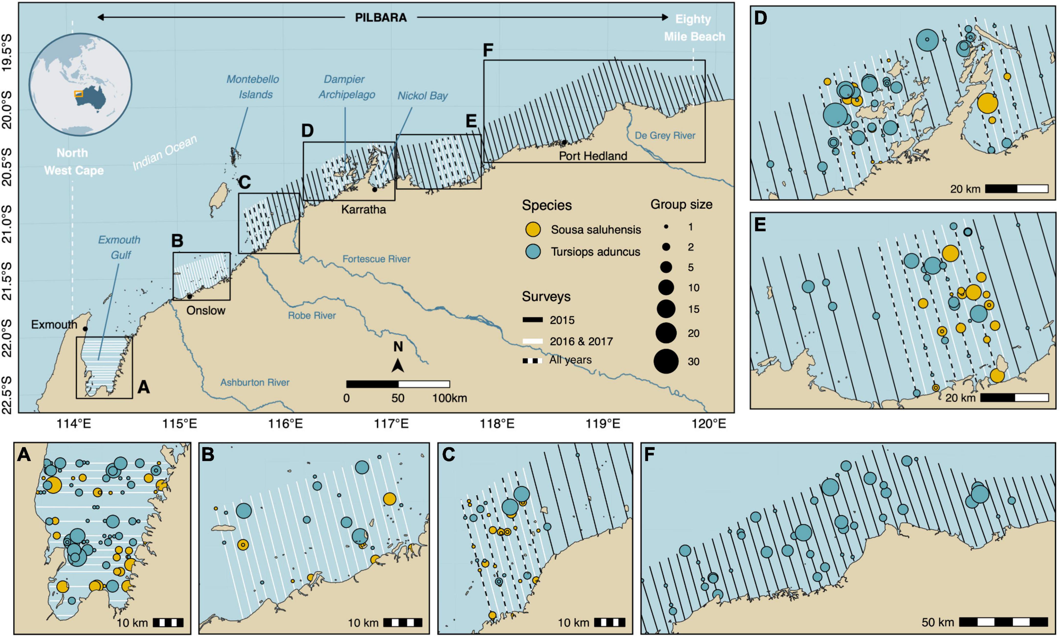 Aerial abundance estimates for two sympatric dolphin species at a regional scale using distance sampling and density surface modeling